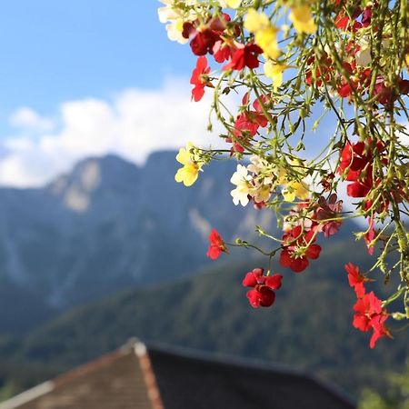 Fewo Baurechthof Goderschach Екстериор снимка